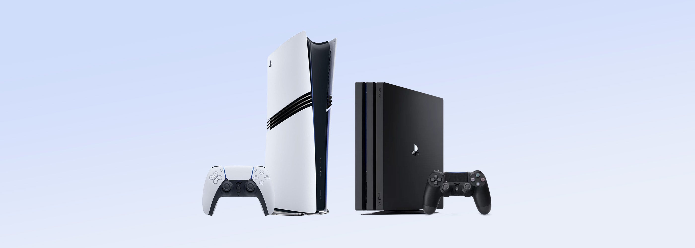 collection-banner
